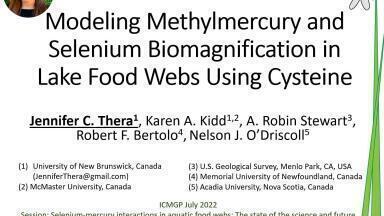 Mercury science driving the implementation of the Minamata Convention
